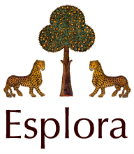 Esplora Esplora
