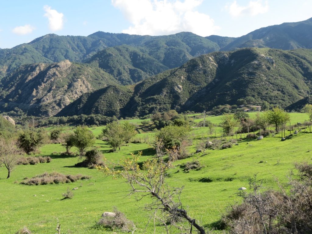 meadows in the Peloritani