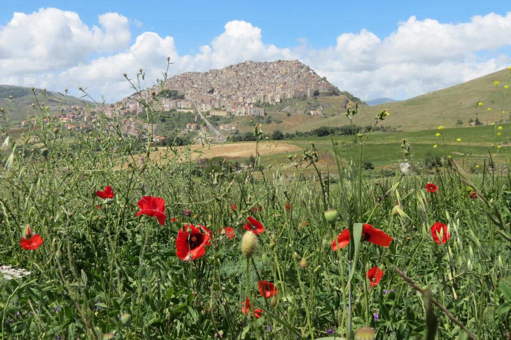 Gangi