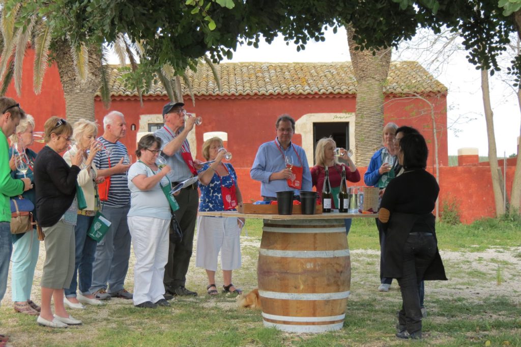 Wine-tasting at Buonivini