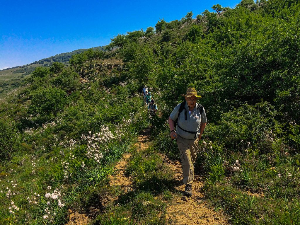 Enjoying the sunshine