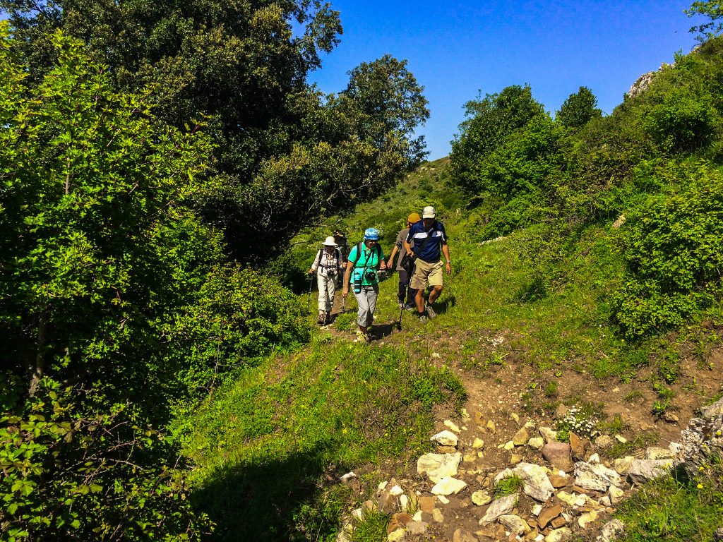 Looking forward to a delicious lunch