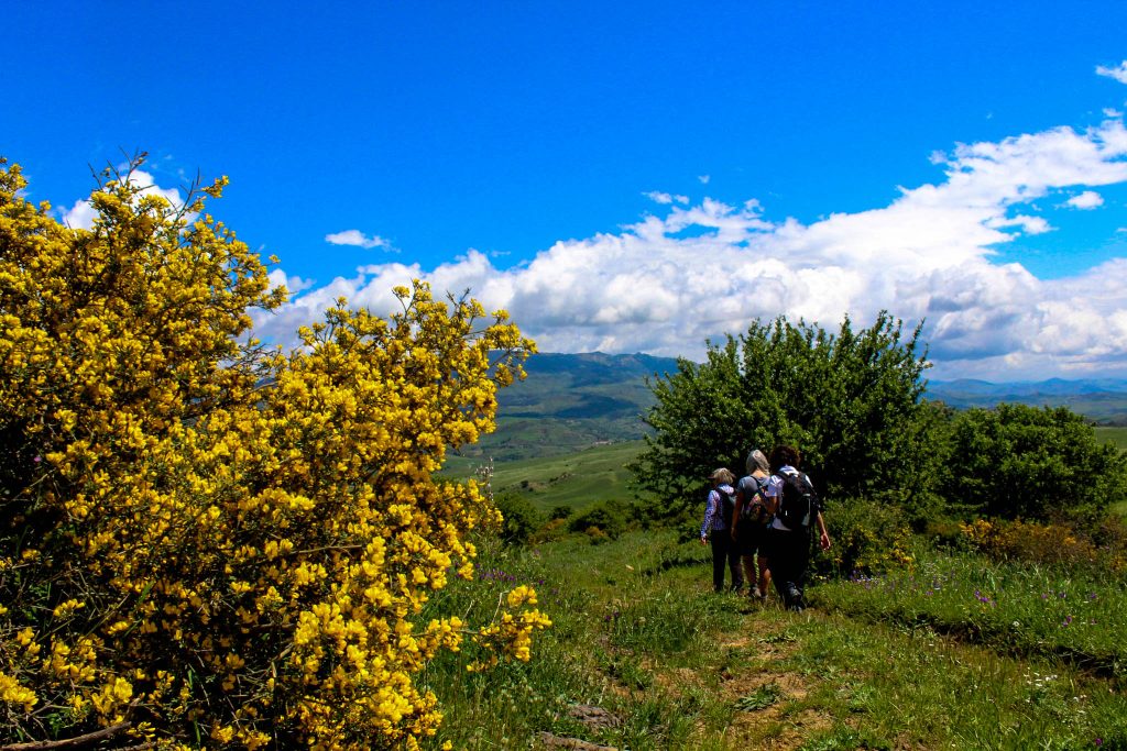 Farmland near Petralia
