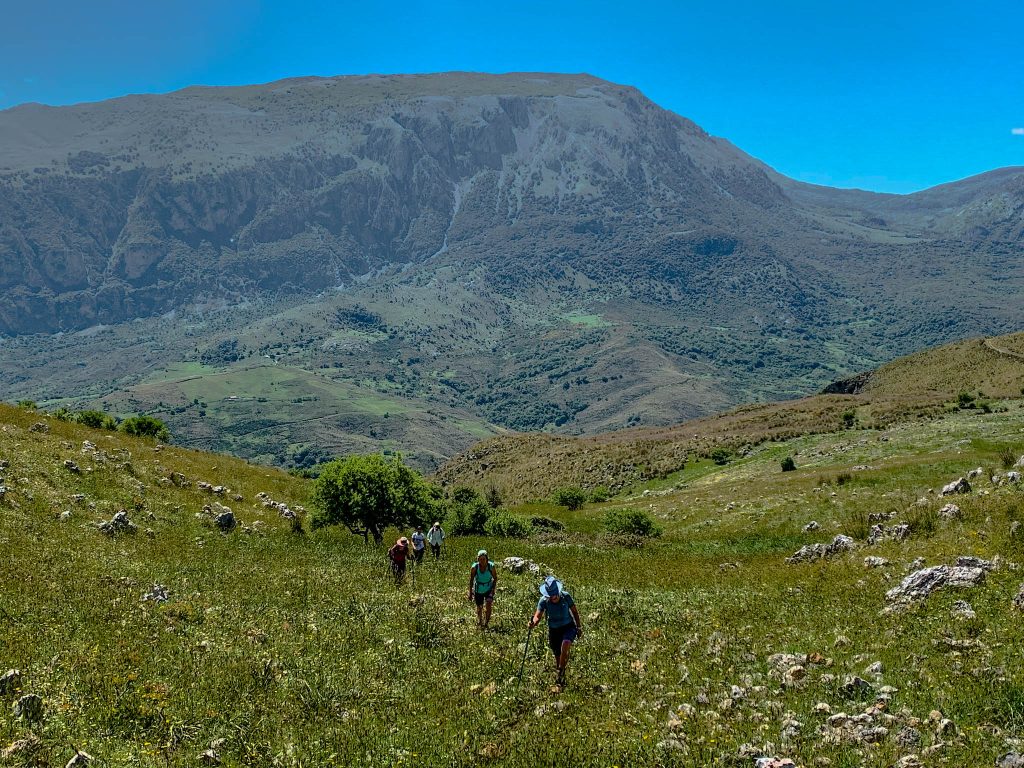 Pizzo Carbonara in the background