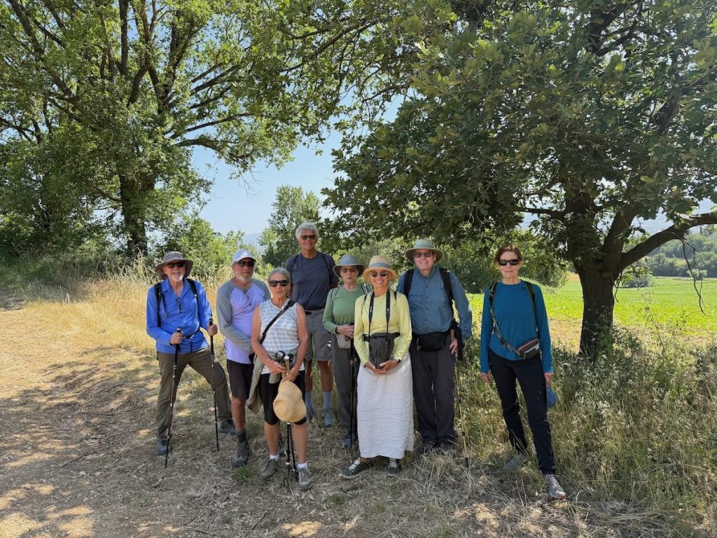 Walking in the vineyards below Montefalco