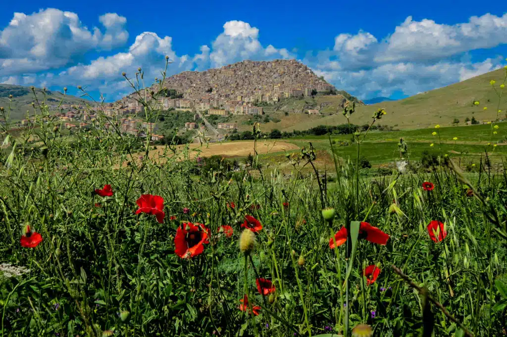 Gangi