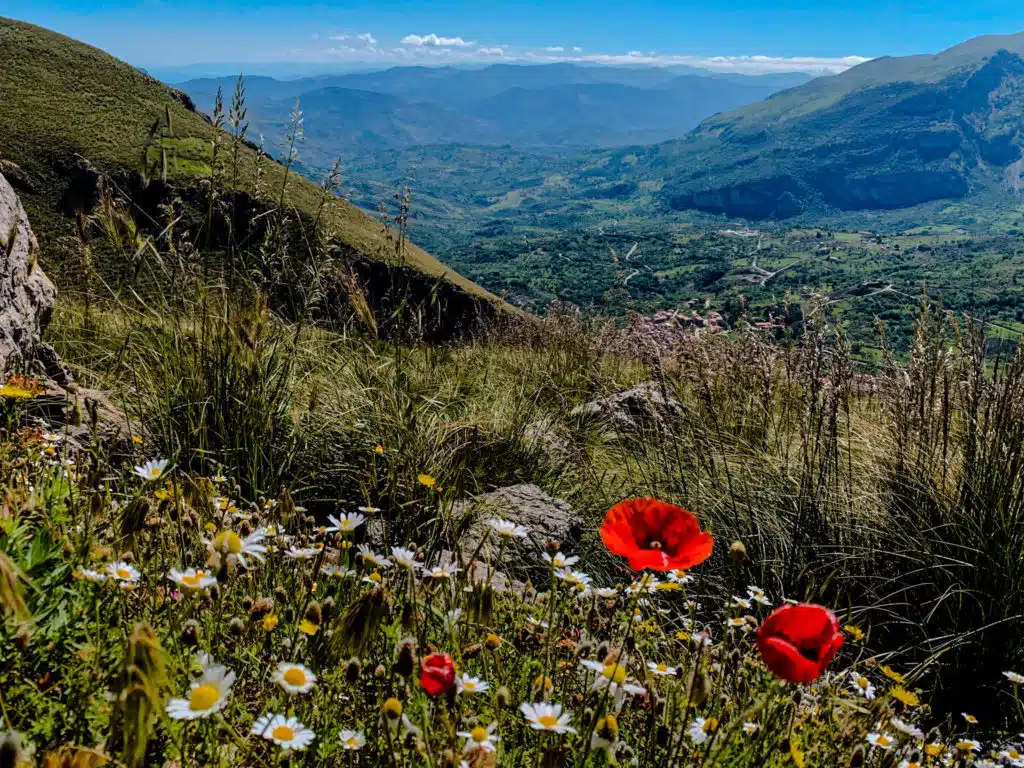 View above Isnello